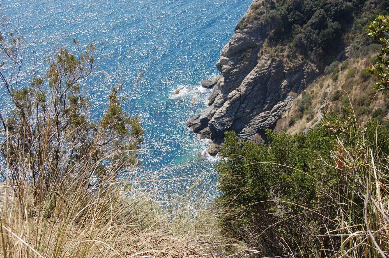 Time Is You Rapallo Exteriör bild